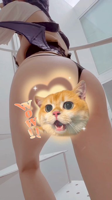 @sljafdosuahb01 の動画