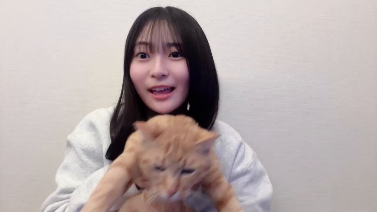 @cigmatari の動画