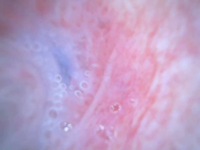 @sljafdosuahb01 の動画