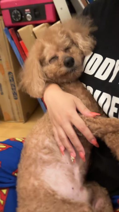@sljafdosuahb01 の動画