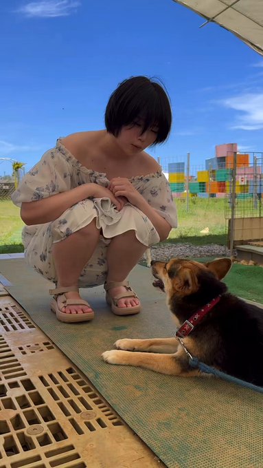 @sljafdosuahb01 の動画