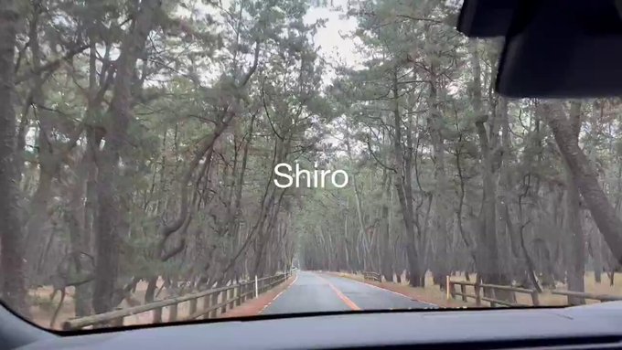 @sljafdosuahb01 の動画