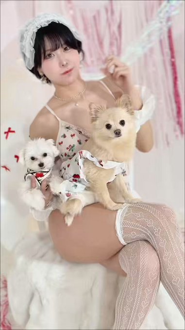 @sljafdosuahb01 の動画