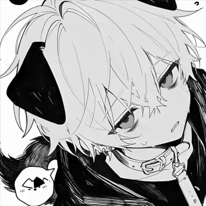 @akk_0a の動画