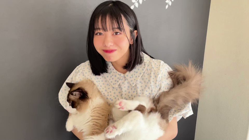@weekly_SPA の動画