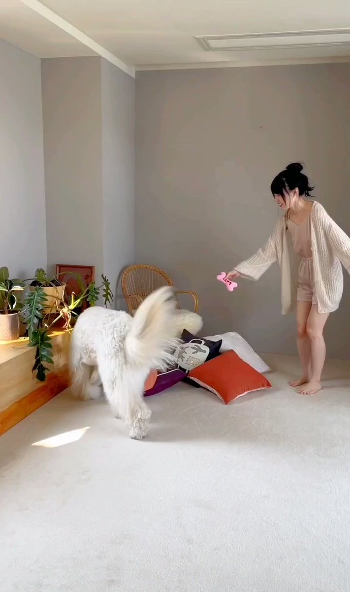 @cigmatari の動画