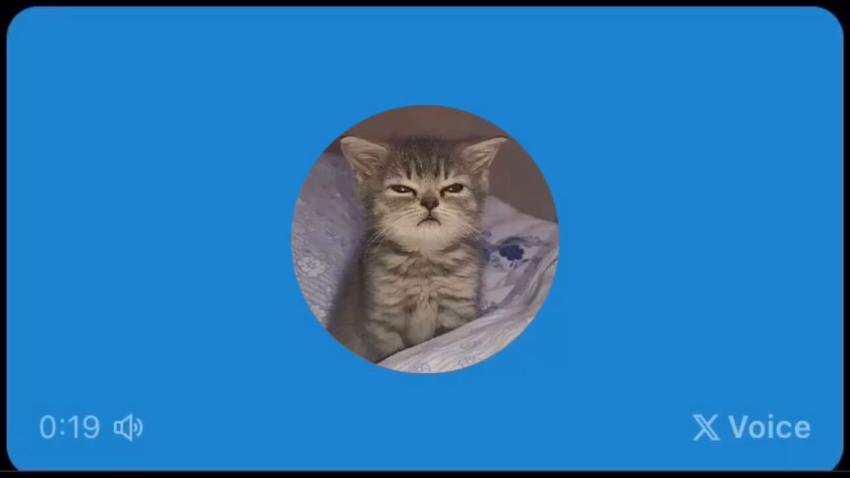 @4kbn_ojyou の動画