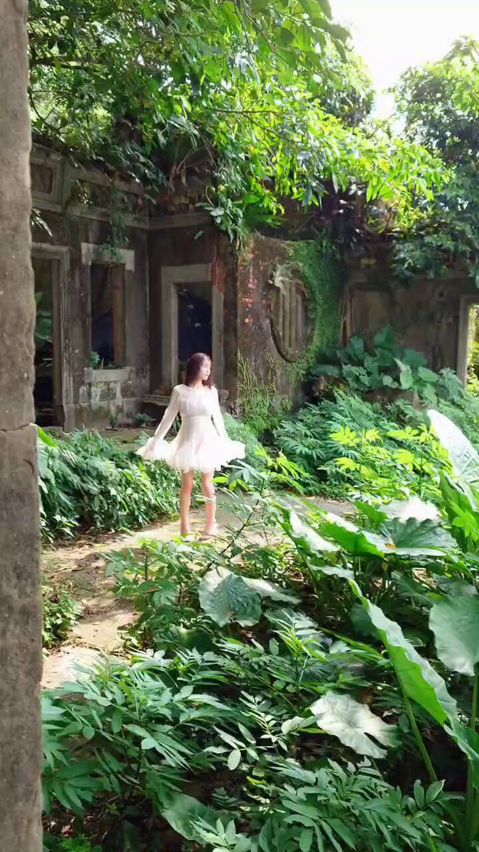 @wpost_gravure の動画