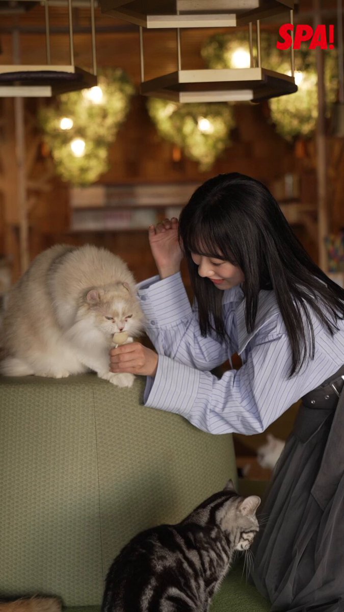 @weekly_SPA の動画